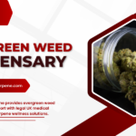 evergreen weed dispensary