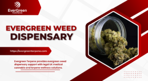 evergreen weed dispensary
