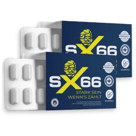 SX66