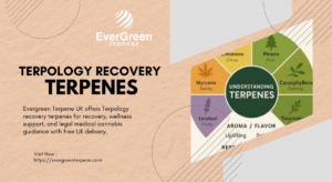 Terpology Recovery Terpenes