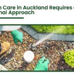 Professional lawn care service in Auckland showing irrigation system setup and garden maintenance for healthy landscaping
