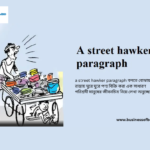 a street hawker paragraph