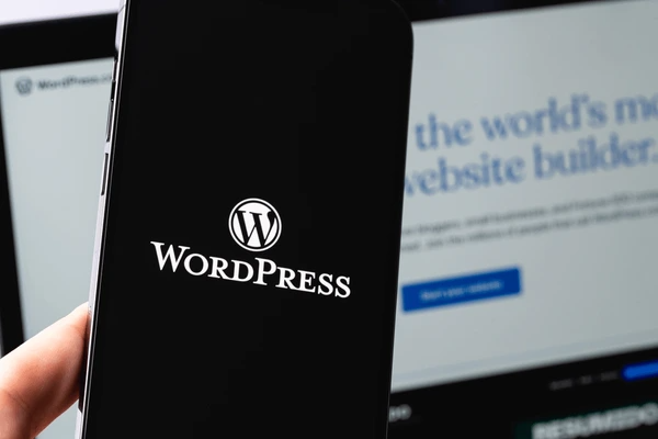 wordpress development services