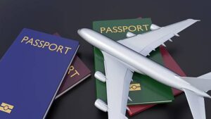 Immigration Consultant for Pakistan