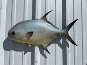 permit-25-hm-sideview__22167