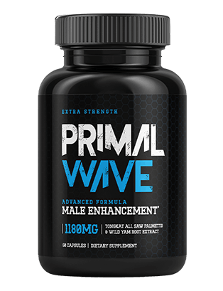 Primal Wave