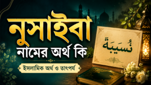 নুসাইবা নামের অর্থ কি