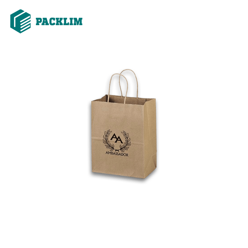Custom paper bags displayed in various sizes and styles, featuring durable handles and high-quality printing. Ideal for retail packaging, gift bags, shopping bags, and branded business packaging.