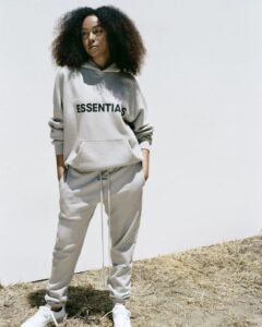 Essentials Hoodie: The Perfect Blend of Comfort, Style, and Everyday Fashion