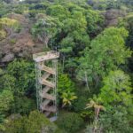 Bocas del Toro eco lodge