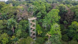 Bocas del Toro eco lodge