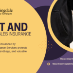 Art and collectibles insurance