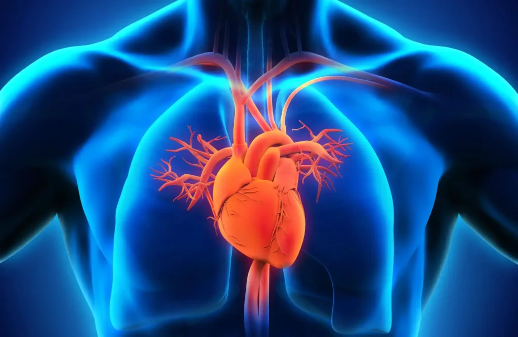 Heart Problems