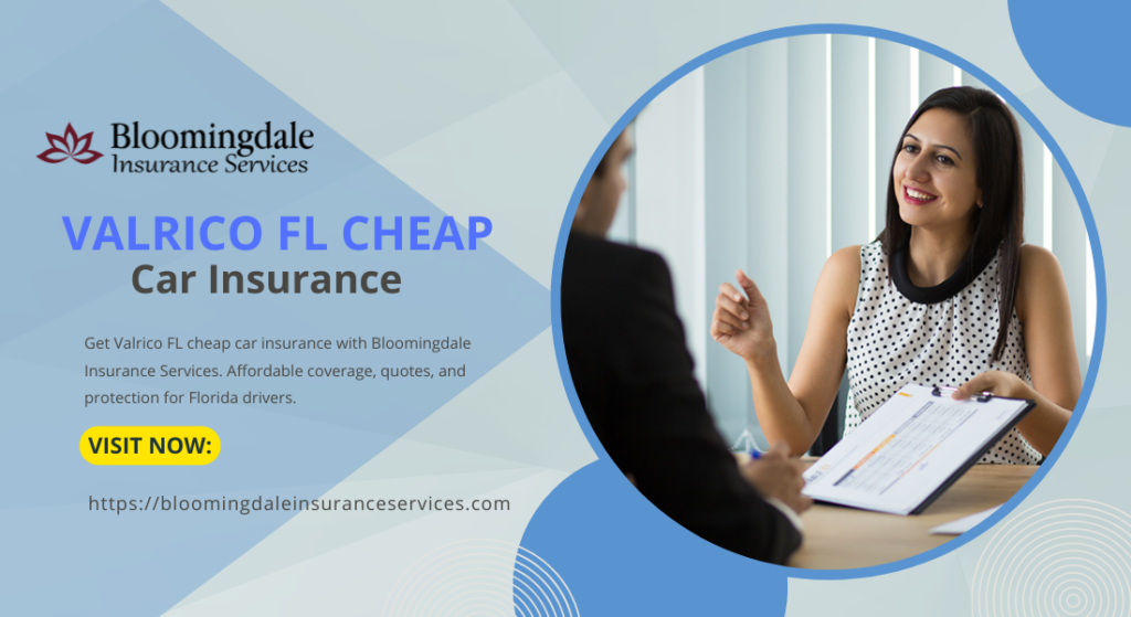 Valrico FL cheap car insurance