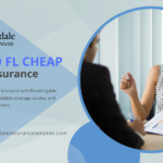 Valrico FL cheap car insurance