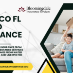 valrico fl flood insurance