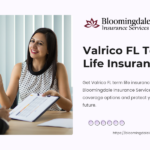 Valrico FL term life insurance