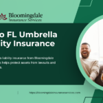 Valrico FL umbrella liability insurance