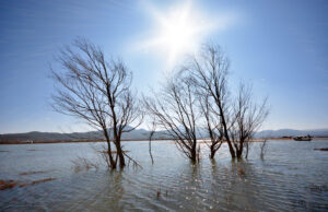 Stop Looking for the Best Flood Policy. Start Looking for the Right One.