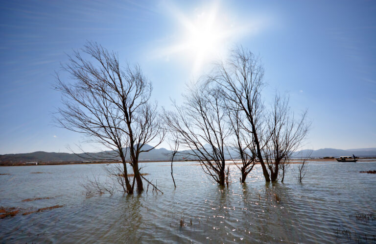 Stop Looking for the Best Flood Policy. Start Looking for the Right One.
