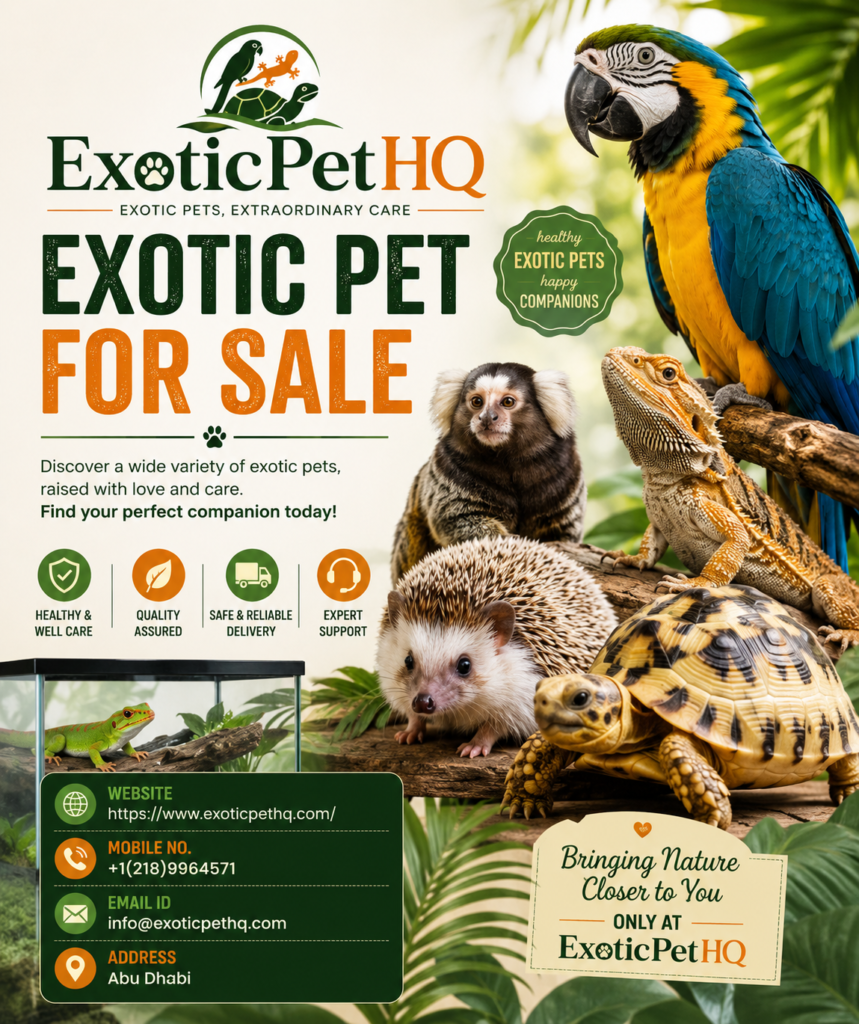 exotic pet for sale