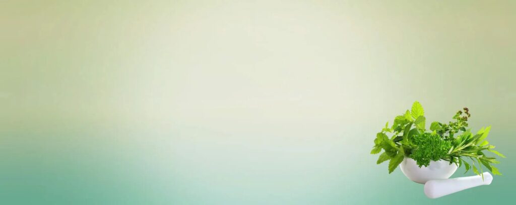 imgi_21_about-content-banner