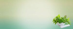 imgi_21_about-content-banner
