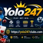yolo 247