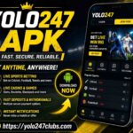 yolo247 apk