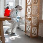 Termite Control Treatment Services Near Me