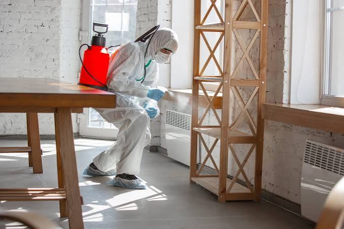 Termite Control Treatment Services Near Me