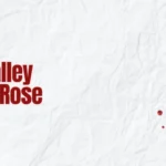 2024 Bennett Valley Rosé of Pinot Noir
