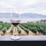 Italian wine experience