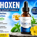 EchoXen