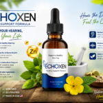 EchoXen