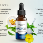 EchoXen