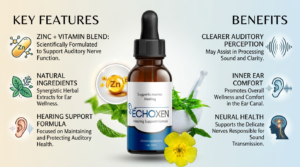 EchoXen