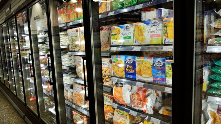 India Frozen Food Market