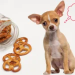 Pretzel_480x480