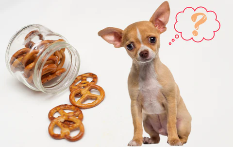 Pretzel_480x480