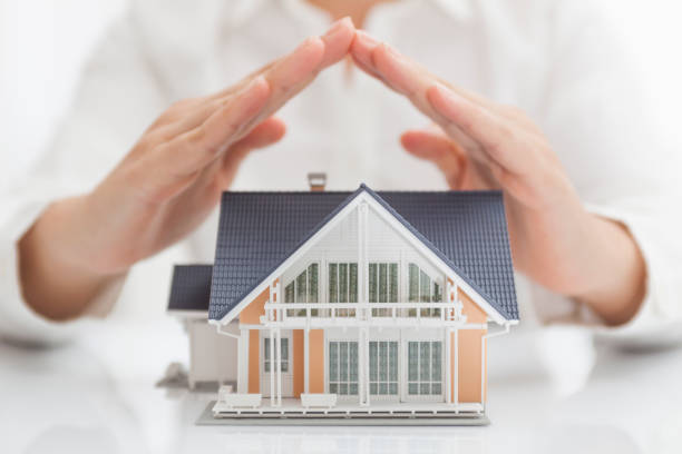 Property Selling Agent