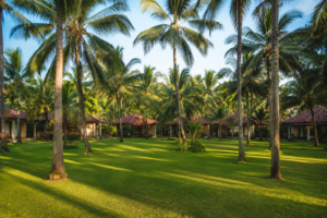 The Nattika Beach Ayurveda Resort