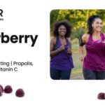 Bulk Elderberry Gummies