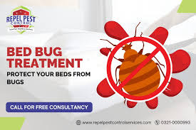 Bed Bug Treatment in Lahore