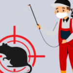 Rat Control Services in Lahore