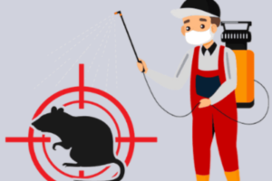 Rat Control Services in Lahore