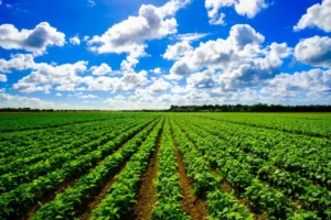 acres