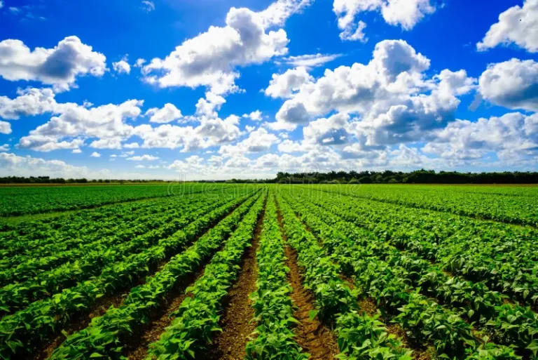 acres