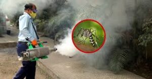 Mosquito Killer Spray Services in Lahore