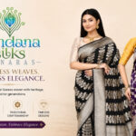 www.vandanasilks.com (7)